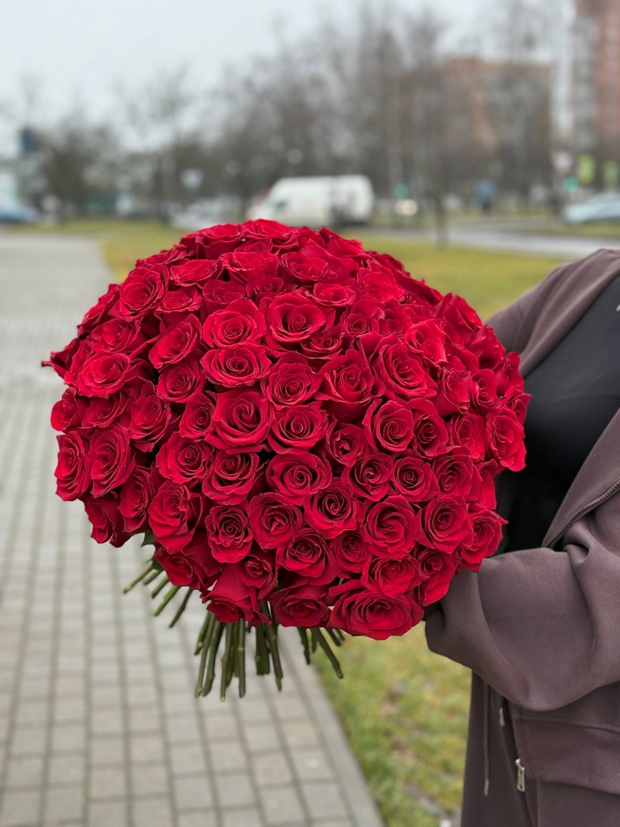 Розы премиальные из Эквадора